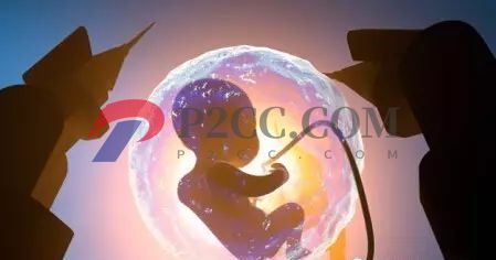 同樣時間懷孕，為什么有的顯懷而有的不顯懷？或與胎兒健康有關？(圖2)