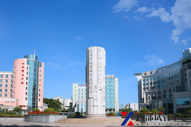 空軍軍醫(yī)大學(xué)第一附屬醫(yī)院(圖3) banner5.jpg