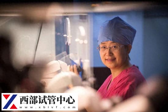 北大常務副校長:適度有序放開凍卵服務限制(圖1) 北大常務副校長:適度有序放開凍卵服務限制(圖1)