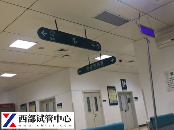 重慶哪家試管嬰兒技術最好