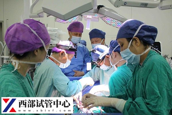 胚胎移植階段費用大概在1萬左右