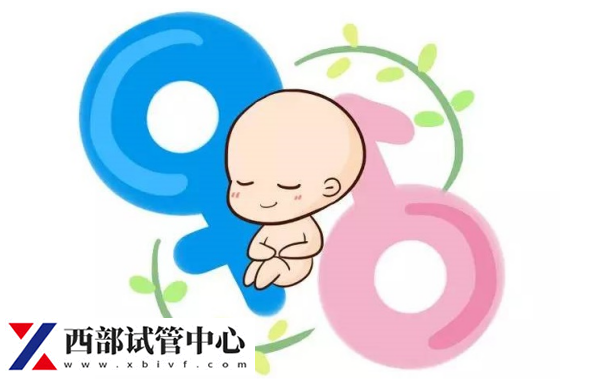 試管龍鳳胎存在的危險(xiǎn)