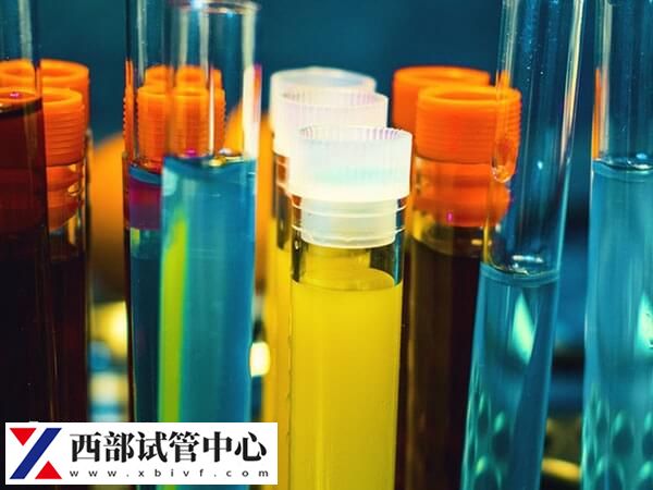 試管嬰兒具體流程有哪些步驟