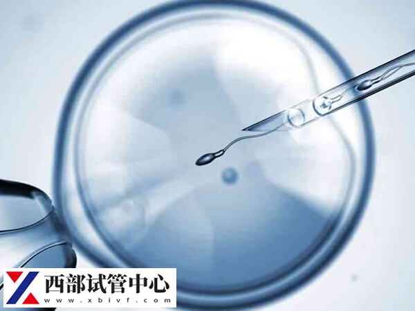 試管嬰兒移植前要做好哪些事情