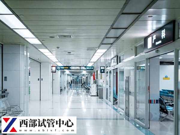 四川權威試管嬰兒有哪些