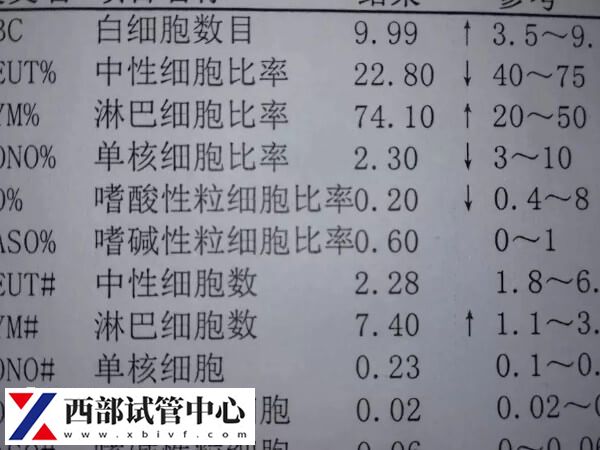 華西二院試管要經(jīng)歷哪些階段