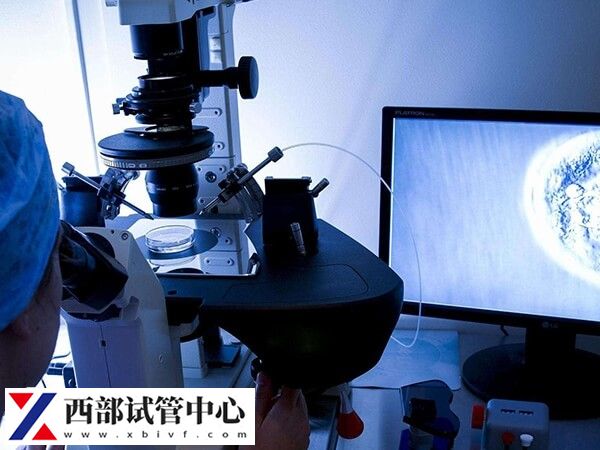 卵巢早衰做試管嬰兒有希望