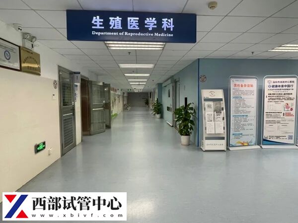 試管移植囊胚后的注意事項(xiàng)