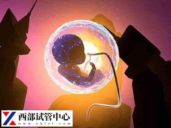 試管最快也需要1個(gè)半月才能完成