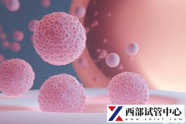 做試管嬰兒多少錢要綜合考量