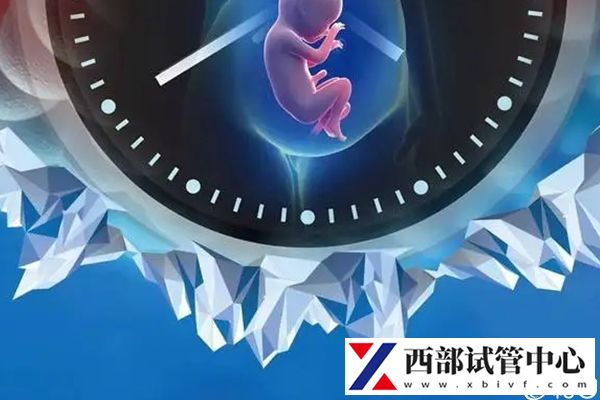 試管嬰兒成功率不低