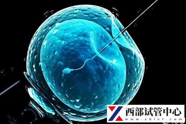 不同試管手術費用有差異