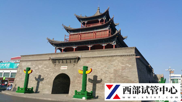 酒泉能做試管嬰兒嗎