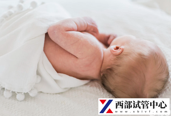 多囊試管成功率高嗎