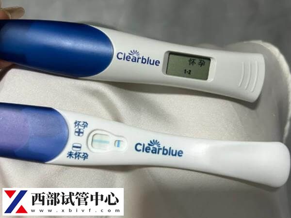 試管移植第12天白板不能停藥