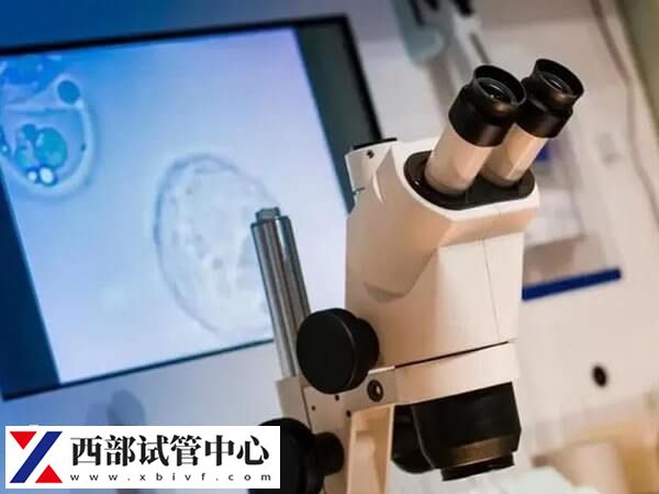 做試管從檢查到成功的過程