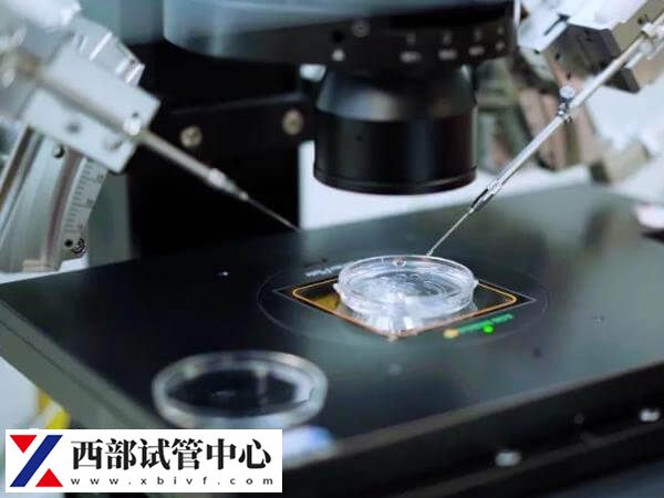 5天囊胚移植當(dāng)天著床了