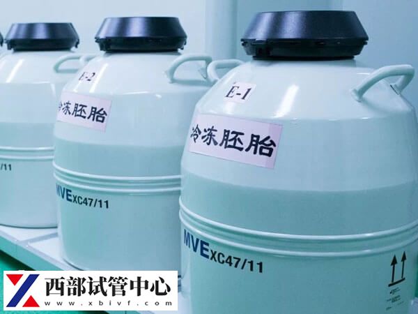 凍胚解凍后升級(jí)說(shuō)明質(zhì)量好