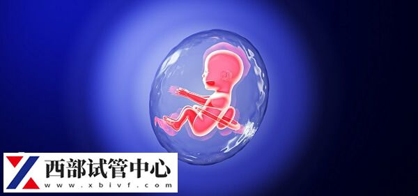 試管嬰兒術前AMH檢查是什么?
