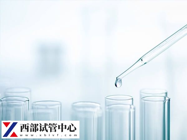 胚胎移植著床后會出現(xiàn)惡心嘔吐的早孕反應(yīng)
