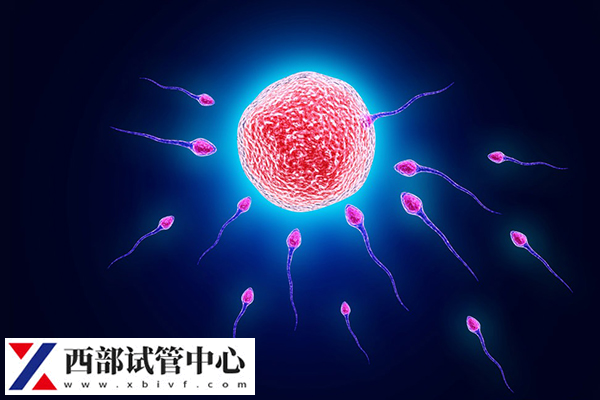 做取精術(shù)可以報銷醫(yī)保