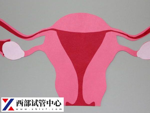 當(dāng)FSH數(shù)值高于10通常表明卵巢儲(chǔ)備功能下降